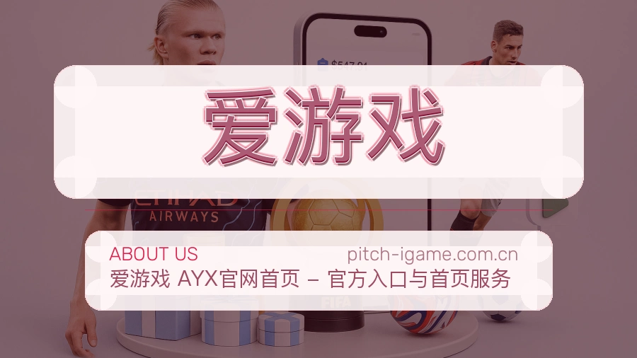 爱游戏体育服务体验介绍